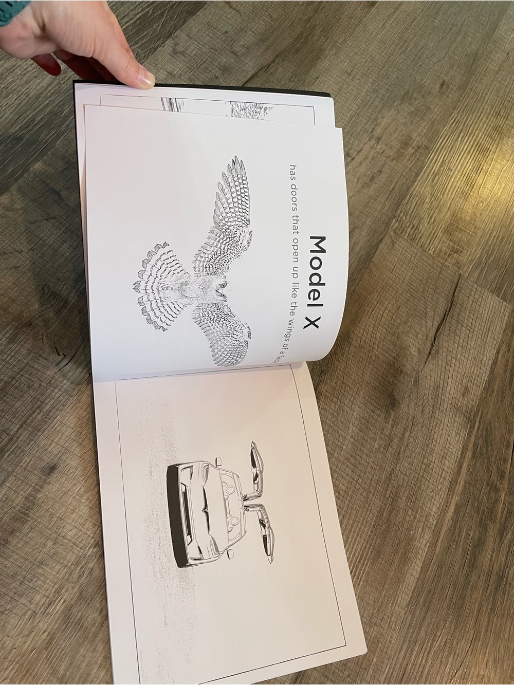 Tesla Coloring Book - Picture 2 of 3